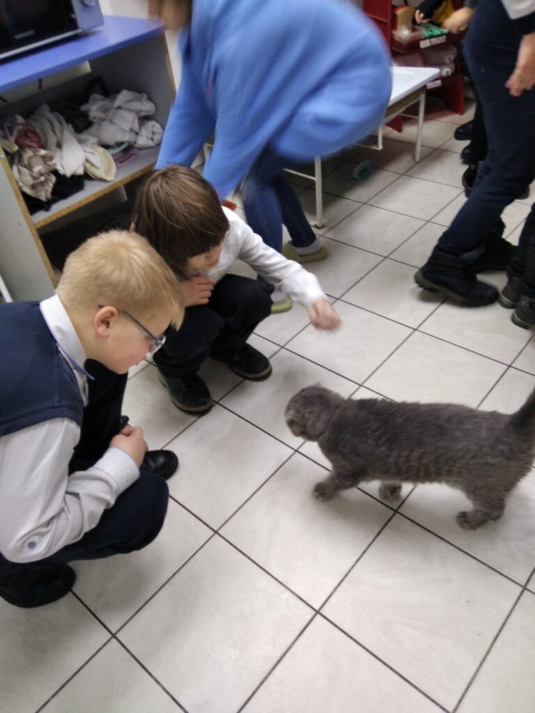 20 января учащиеся 3 б класса посетили приют для бездомных животных