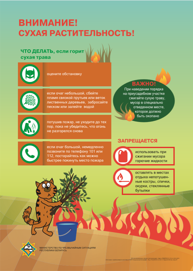 Последствия выжигания сухой растительности