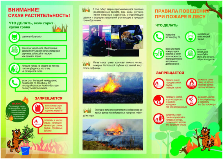 Внимание сухая растительность